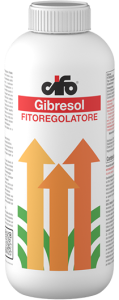 Fitoregolatore